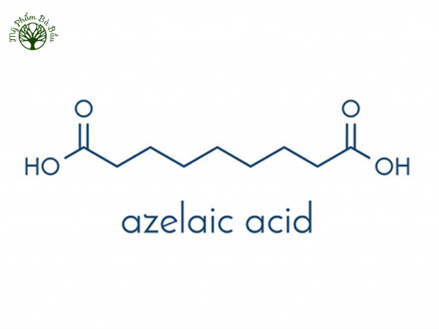 Azelaic Acid là gì?