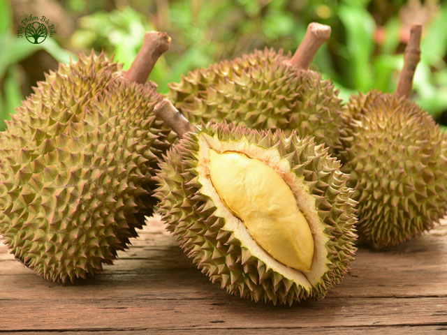 Sầu riêng nổi tiếng với biệt danh là “vua trái cây” trong tất cả các loại hoa quả nhiệt đới tại Đông Nam Á