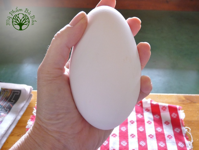 Trứng ngỗng cung cấp nhiều chất dinh dưỡng nhưng cũng chứa thành phần không tốt cho sức khỏe