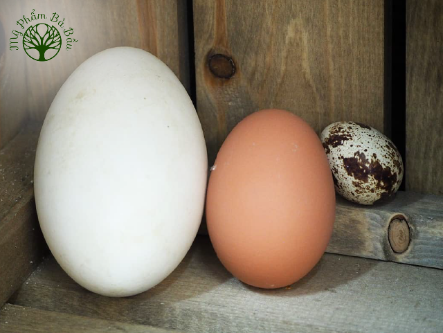 Ăn trứng ngỗng mang lại nhiều lợi ích cho phụ nữ mang thai