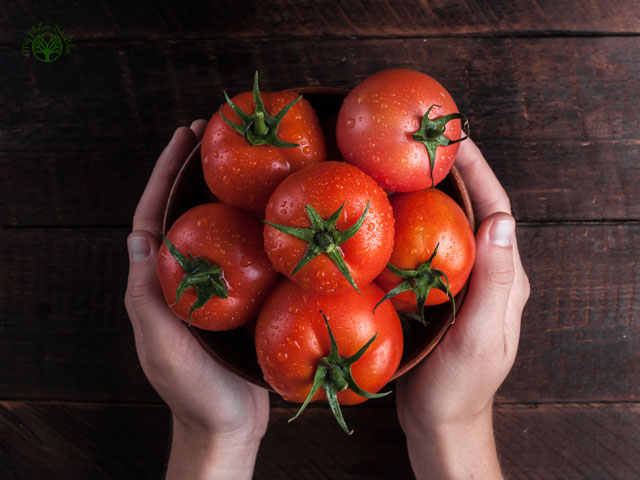 Trong cà chua có chứa các hàm lượng dinh dưỡng vitamin B1, B3, B5, B6, B9, vitamin C, vitamin A, canxi, sắt, nước, chất xơ, lycopene,… rất tốt cho cơ thể và làn da