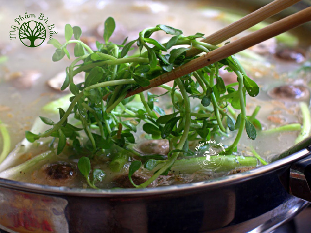 Rau đắng xuất hiện thường xuyên trong các bữa cơm gia đình của người Việt