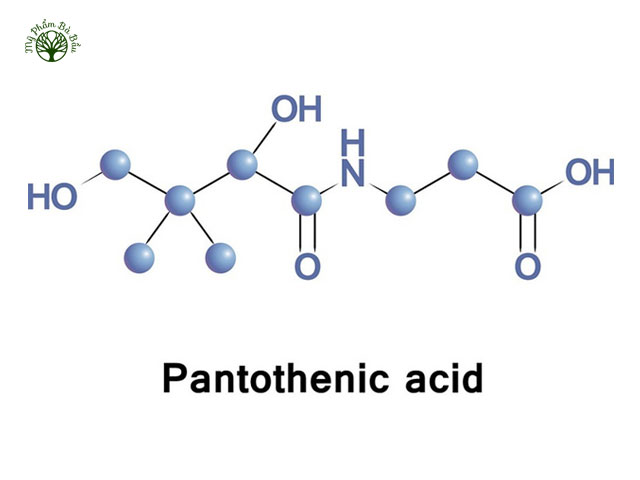 Panthenol có cấu trúc hóa học tương tự như rượu