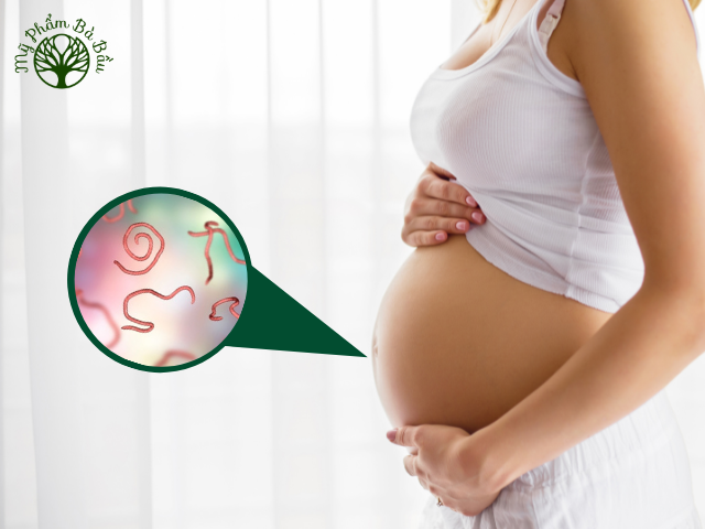Phụ nữ mang thai là đối tượng có nguy cơ nhiễm giun sán cao