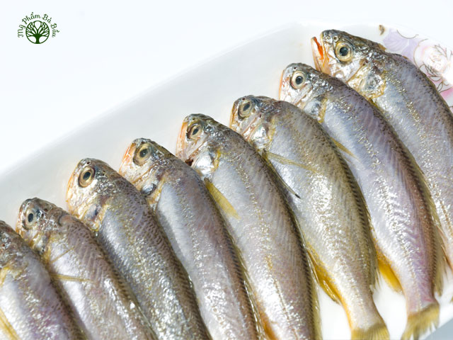 Trong cá có rất nhiều chất dinh dưỡng khác nhau như: protein, i-ốt, vitamin và các nhóm khoáng chất khác nhau