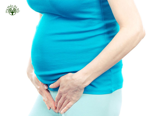 Mẹ bầu có đa thai cũng có thể gây đau xương mu
