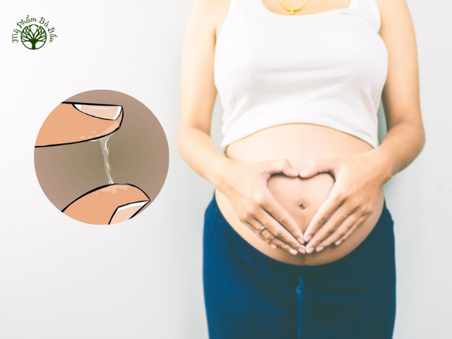 Các chuyển đổi của cơ thể trong lúc mang thai cũng khiến tiết dịch nhầy trong tháng cuối thai kỳ