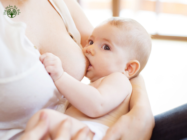 Các mẹ nên cho trẻ bú trực tiếp ngay sau khi sinh là cách gọi sữa hiệu quả