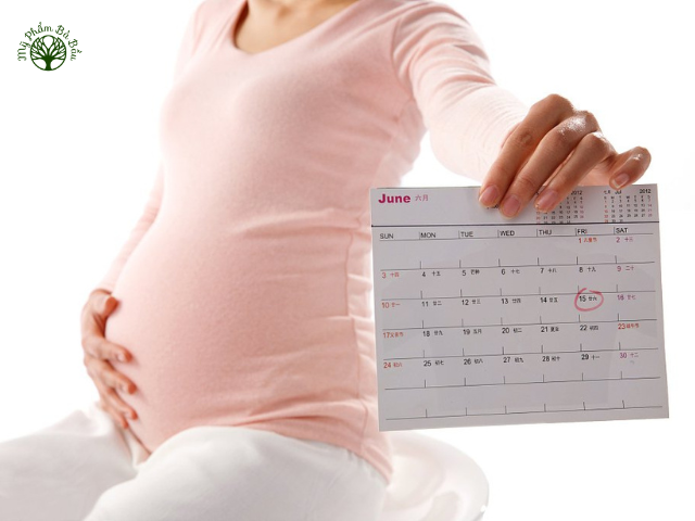 Mẹ bầu nên lưu ý và ghi chú lịch khám thai để đi khám đúng hẹn trong thai kỳ