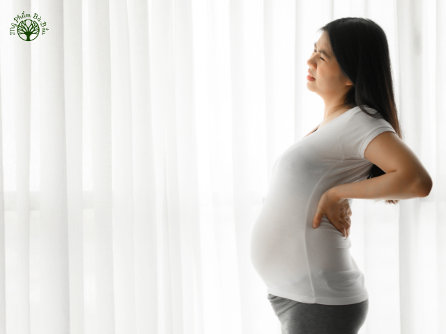 Thời gian cuối thai kỳ, sắp sinh, các mẹ bầu luôn cảm thấy đau vùng thắt lưng cũng là dấu hiệu của sắp sinh