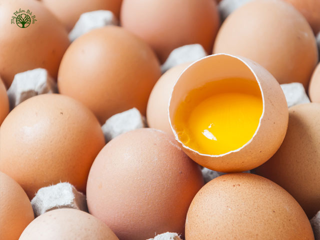 Trứng là nguồn protein và choline tuyệt vời