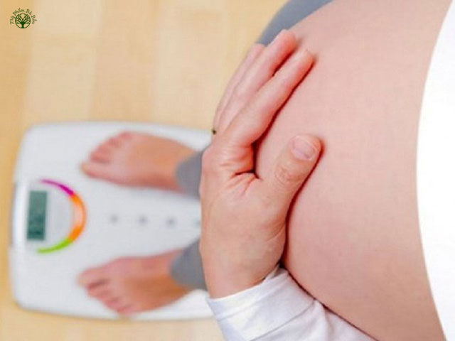 Việc mẹ bầu tăng cân khi mang thai là hiện tượng rất bình thường